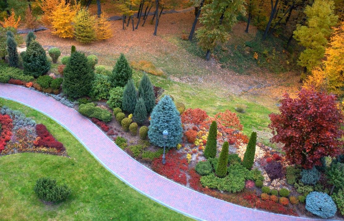 The Symphony of Seasons: A Guide to Year-Round Garden Beauty